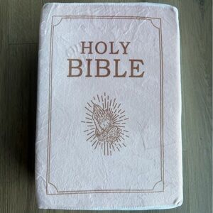 Matthew 6 Pink Bible Throw Pillow WithHoly Bible That Opens Christian Bible Book